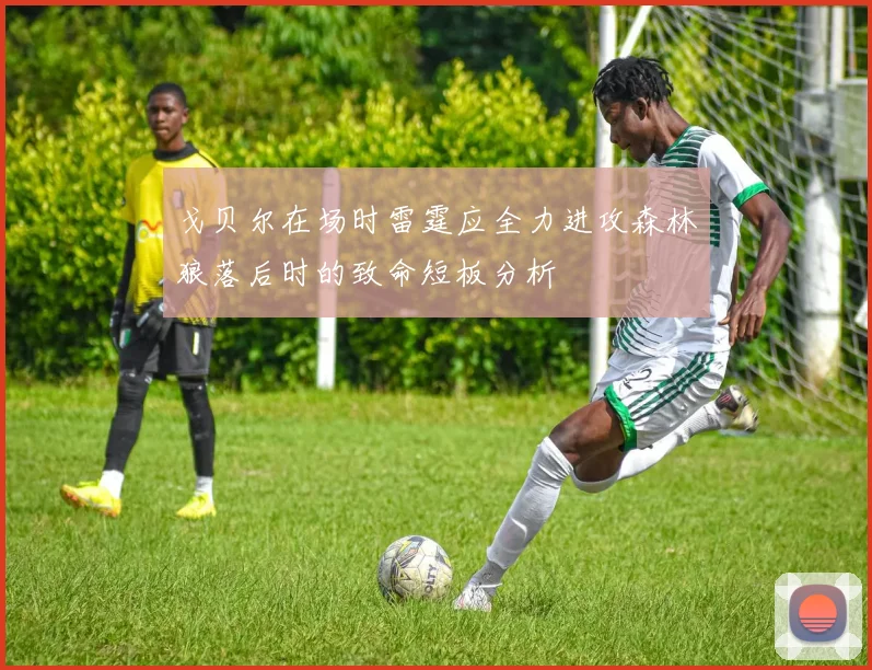 戈贝尔在场时雷霆应全力进攻森林狼落后时的致命短板分析