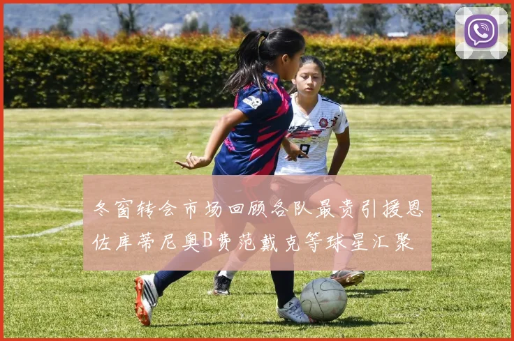 冬窗转会市场回顾各队最贵引援恩佐库蒂尼奥B费范戴克等球星汇聚