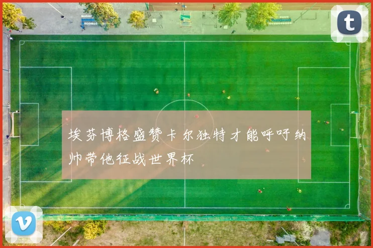 埃芬博格盛赞卡尔独特才能呼吁纳帅带他征战世界杯