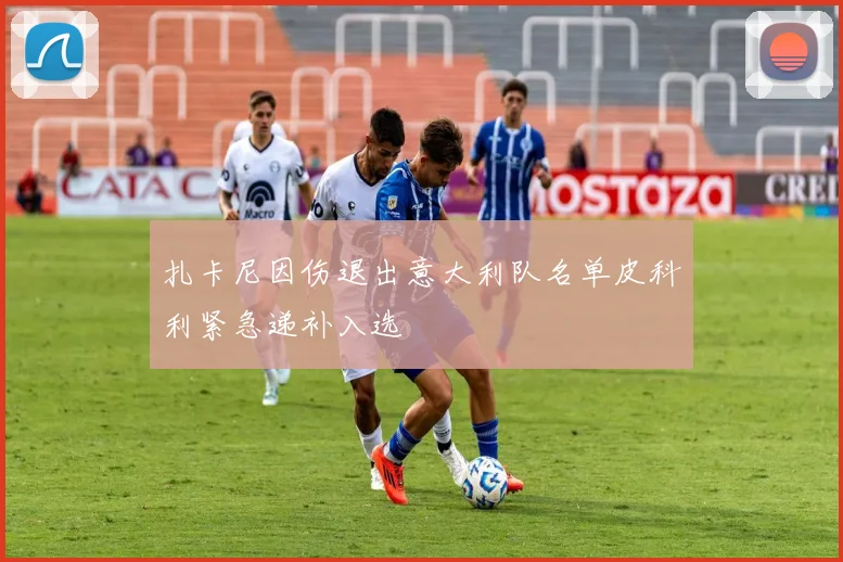 扎卡尼因伤退出意大利队名单皮科利紧急递补入选