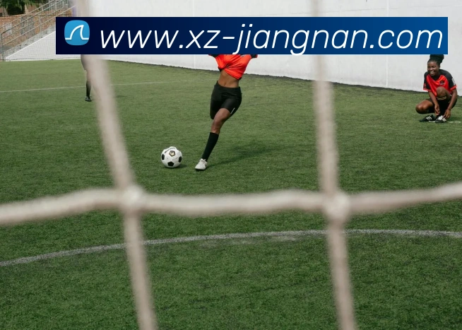 江南体育发展历程